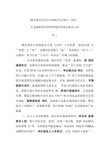 镇党委书记在全区镇街书记项目“双进”大会战和优化营商环境攻坚战交流会上的发言