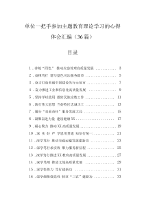 单位一把手参加主题教育理论学习的心得体会汇编（36篇）