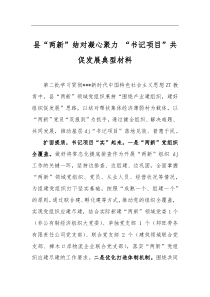 县“两新”结对凝心聚力+“书记项目”共促发展典型材料 (1)