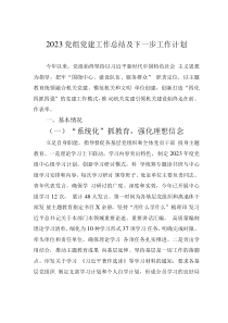 2023党组党建工作总结及下一步工作计划