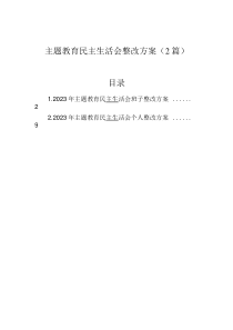 主题教育民主生活会整改方案(2篇)