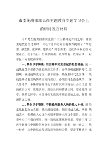 市委统战部部长在主题教育专题学习会上的研讨发言材料