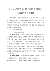 某县人大常委会党组班子2023年专题民主生活会对照检查材料