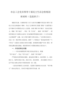 市总工会党员领导干部民主生活会检视剖析材料(党组班子)
