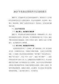 2023年度基层团组织书记述职报告