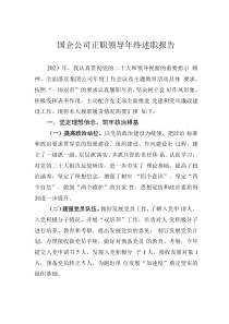 国企公司正职领导年终述职报告
