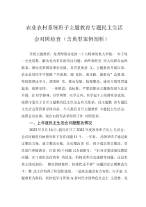农业农村系统班子主题教育专题民主生活会对照检查(含典型案例剖析)