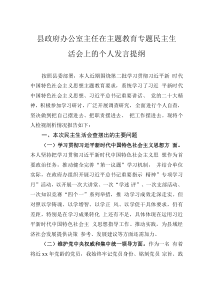 县政府办公室主任在主题教育专题民主生活会上的个人发言提纲