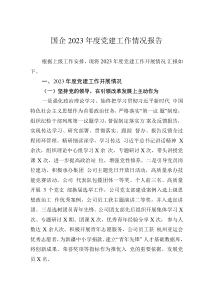 国企2023年度党建工作情况报告