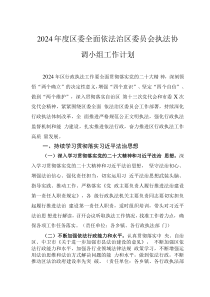 2024年度区委全面依法治区委员会执法协调小组工作计划