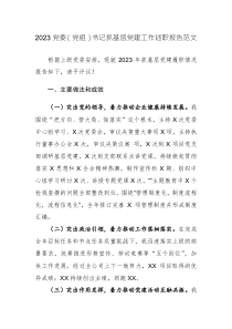 2023党委（党组）书记抓基层党建工作述职报告范文