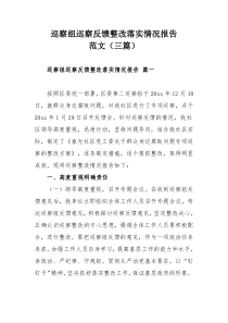 巡察组巡察反馈整改落实情况报告范文(三篇)