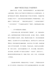 2024年抓基层党建工作述职报告
