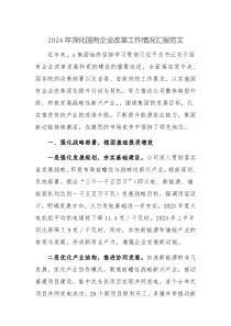 2024年深化国有企业改革工作情况汇报范文