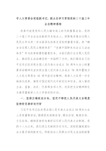 市人大常委会党组副书记、副主任学习贯彻党的二十届三中全会精神感悟