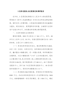 X县养老服务业发展情况的调研报告