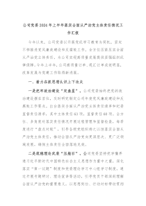 公司党委2024年上半年落实全面从严治党主体责任情况工作汇报