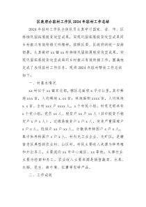 区政府办驻村工作队2024年驻村工作总结