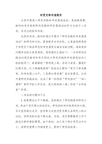村党支部自查报告