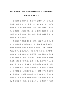 学习贯彻党的二十届三中全会精神——以三中全会精神为指导展现司法新作为
