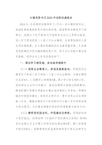 乡镇党委书记2024年述职述廉报告