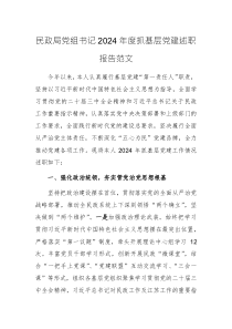 民政党组书记2024年度抓基层党建述职报告范文