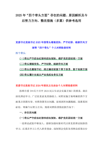 2025年“四个带头方面”存在的问题、原因解析及今后努力方向、整改措施（多篇）供参考选用