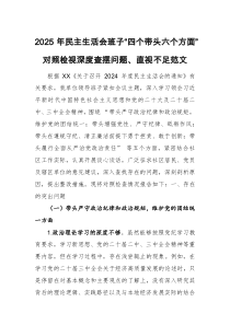 2025年民主生活会班子“四个带头六个方面”对照检视深度查摆问题、直视不足范文