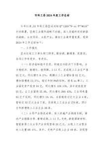 市科工局2024年度工作总结