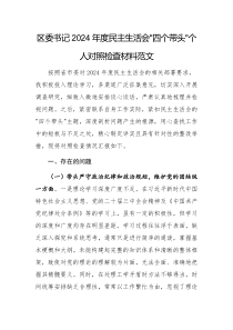 区委书记2024年度民主生活会个人“四个带头”对照检查材料范文