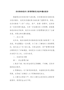 农村集体经济三资管理情况自查和整改报告