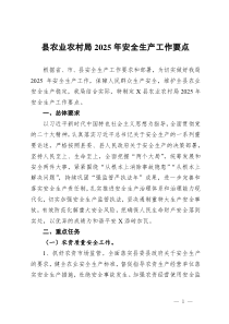 县农业农村局2025年安全生产工作要点