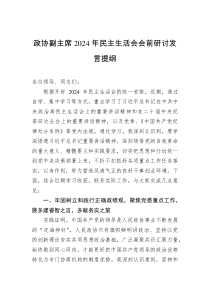 政协副主席2024年民主生活会会前研讨发言提纲