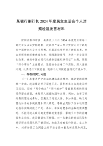 某银行副行长2024年度民主生活会个人对照检视发言材料