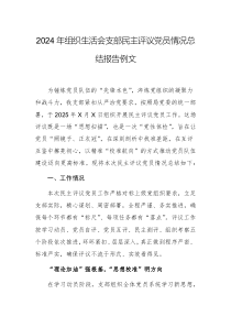 2024年组织生活会支部民主评议党员情况总结报告例文