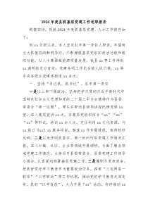 2024年度县抓基层党建工作述职报告