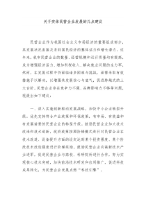 关于实体民营企业发展的几点建议