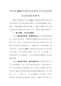 党支部2024年组织生活会民主评议党员情况总结报告供参考