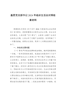 基层党支部书记2024年组织生活会对照检查材料