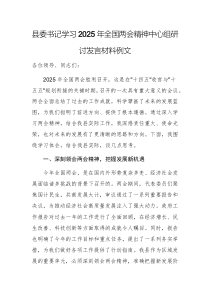 县委书记学习2025年全国两会精神中心组研讨发言材料例文