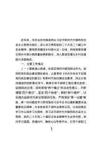 市农业农村局关于党建引领乡村振兴工作情况的报告.text