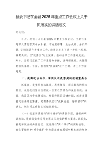 县委书记在全县2025年重点工作会议上关于抓落实的讲话范文