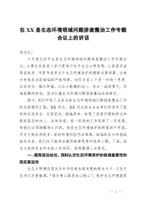 在2025年县生态环境领域问题排查整治工作专题会议上的讲话