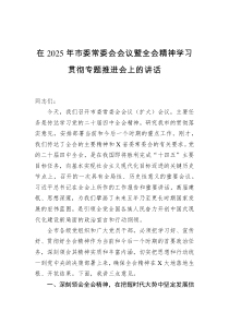 在2025年市委常委会会议暨全会精神学习贯彻专题推进会上的讲话