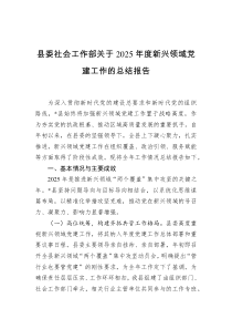 县委社会工作部关于2025年度新兴领域党建工作的总结报告