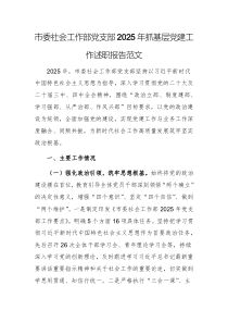 社会工作部党支部2025年抓基层党建工作述职报告范文