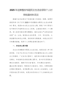 2025年巡察整改专题民主生活会领导个人对照检查材料范文