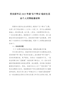 党支部书记2025年度“五个带头”组织生活会个人对照检查材料