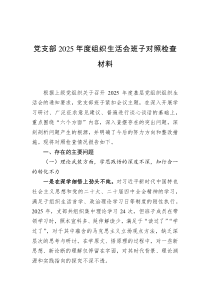党支部2025年度组织生活会班子对照检查材料