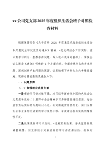 xx党支部2025年度组织生活会班子对照检查材料2篇